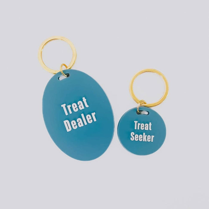 Dog Tag and Keychain Set