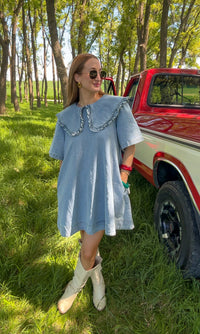 Oakley Collared Denim Dress