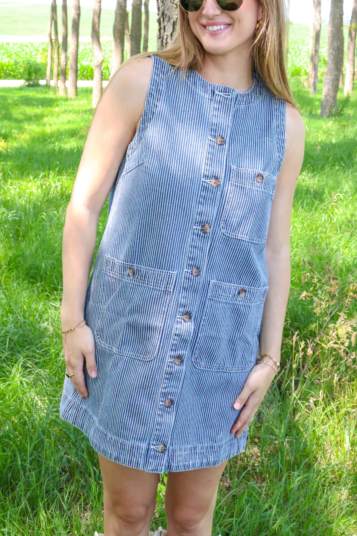 Terra Pin Stripe Dress