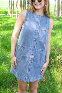 Terra Pin Stripe Dress
