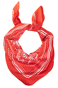 Paisley Bandana Design Square Scarf