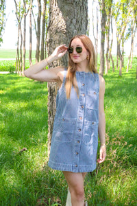 Terra Pin Stripe Dress
