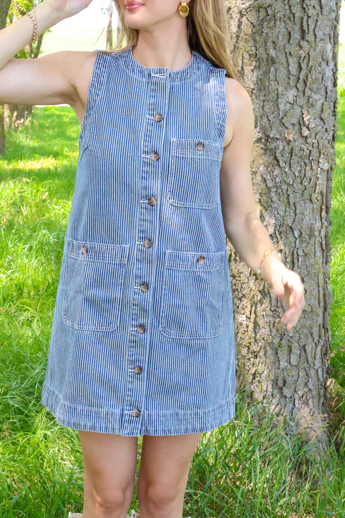 Terra Pin Stripe Dress