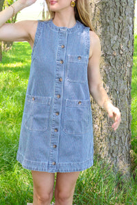 Terra Pin Stripe Dress