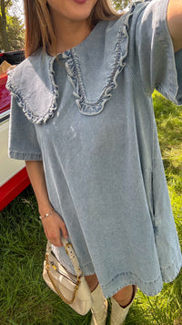 Oakley Collared Denim Dress