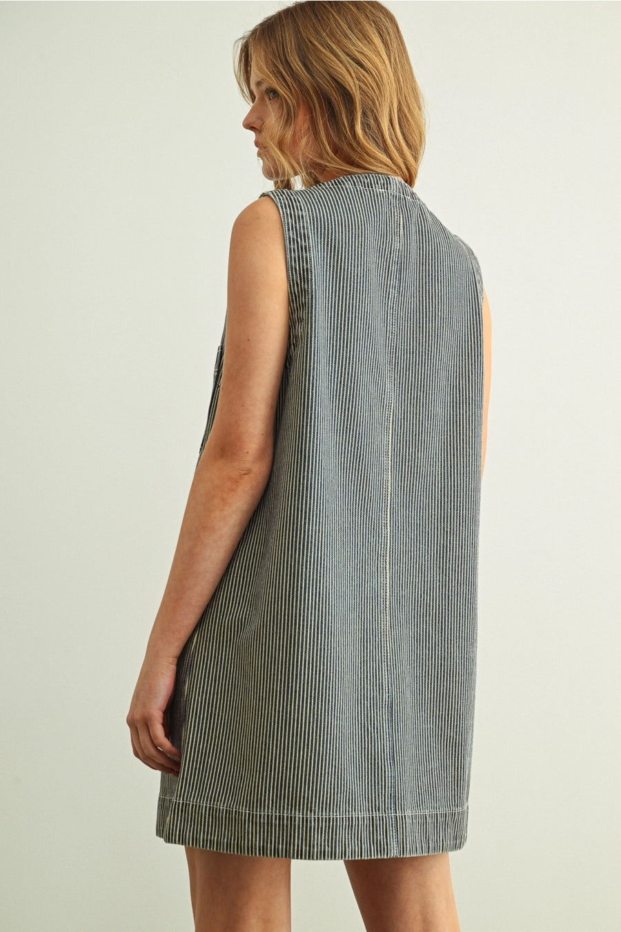 Terra Pin Stripe Dress