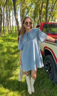 Oakley Collared Denim Dress